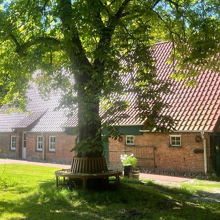 Ferienwohnung Mit Garten In Meyenburg - Keine Monteure Schwanewede Exteriör bild