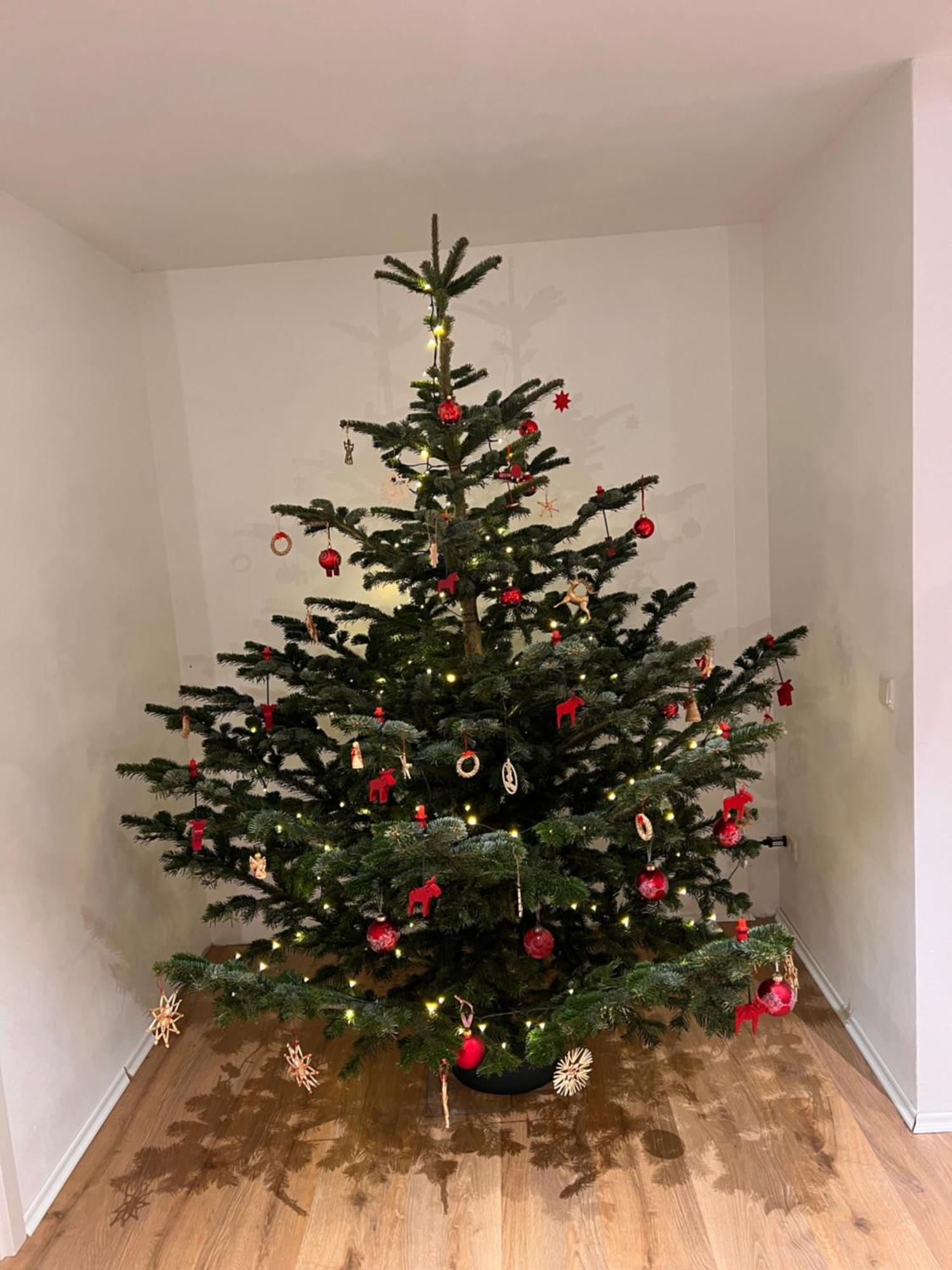 Ferienwohnung Mit Garten In Meyenburg - Keine Monteure Schwanewede Exteriör bild